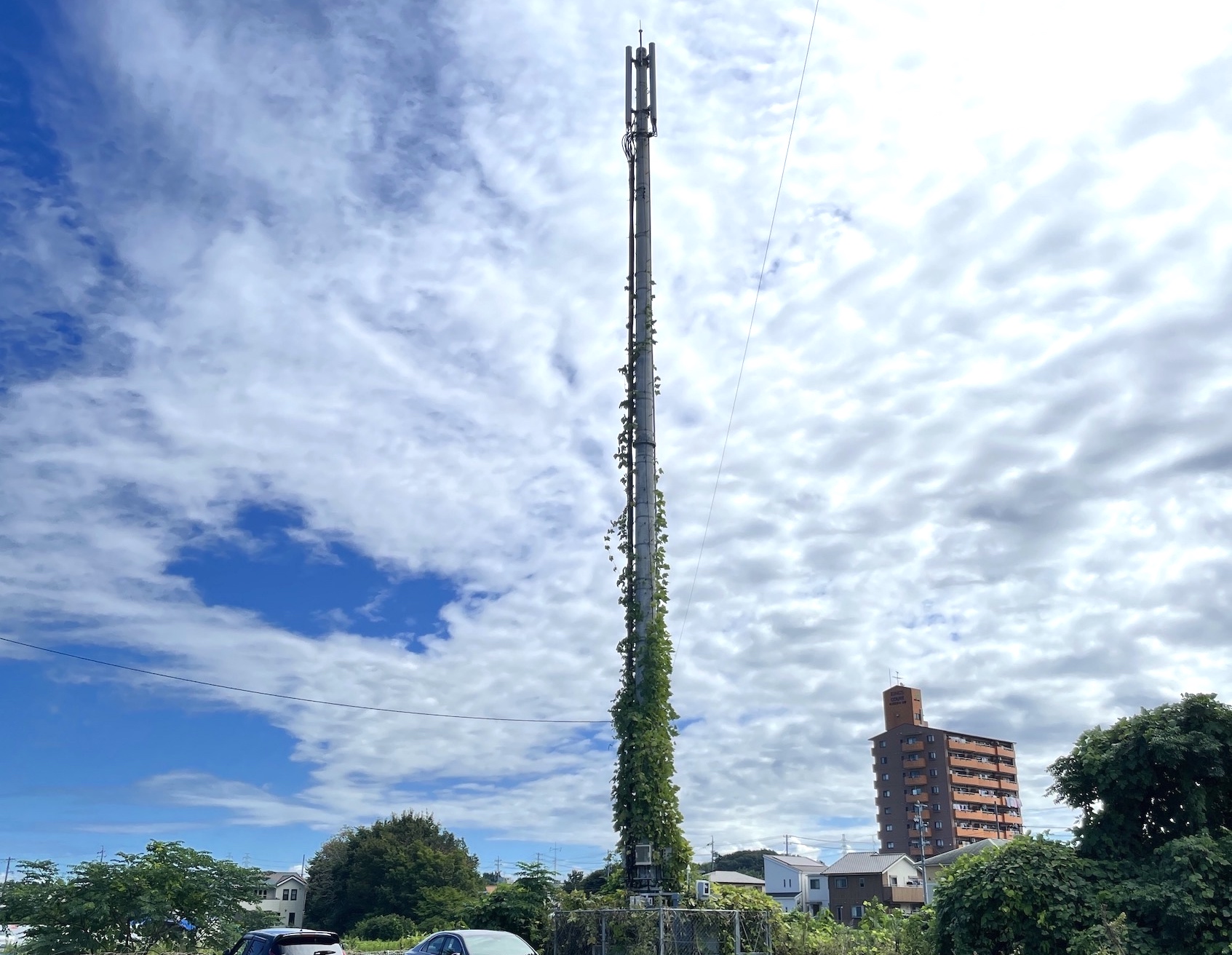 ハンモックのすゝめ