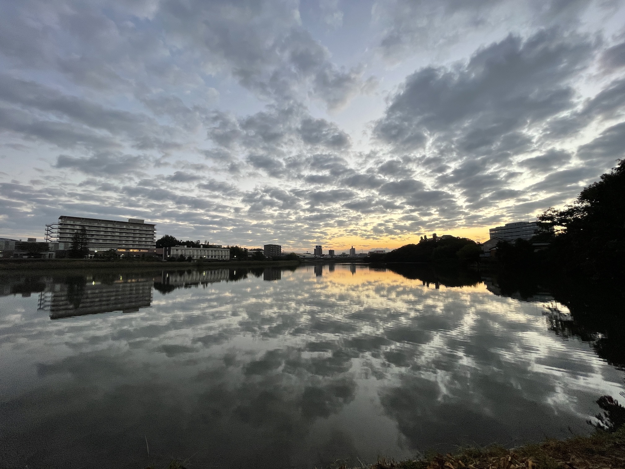 ハンモックの冬支度