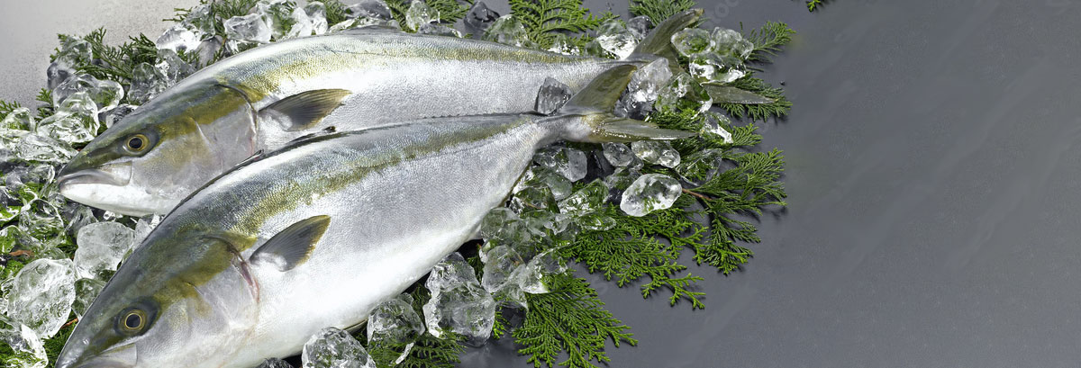 最近お気に入りの食材