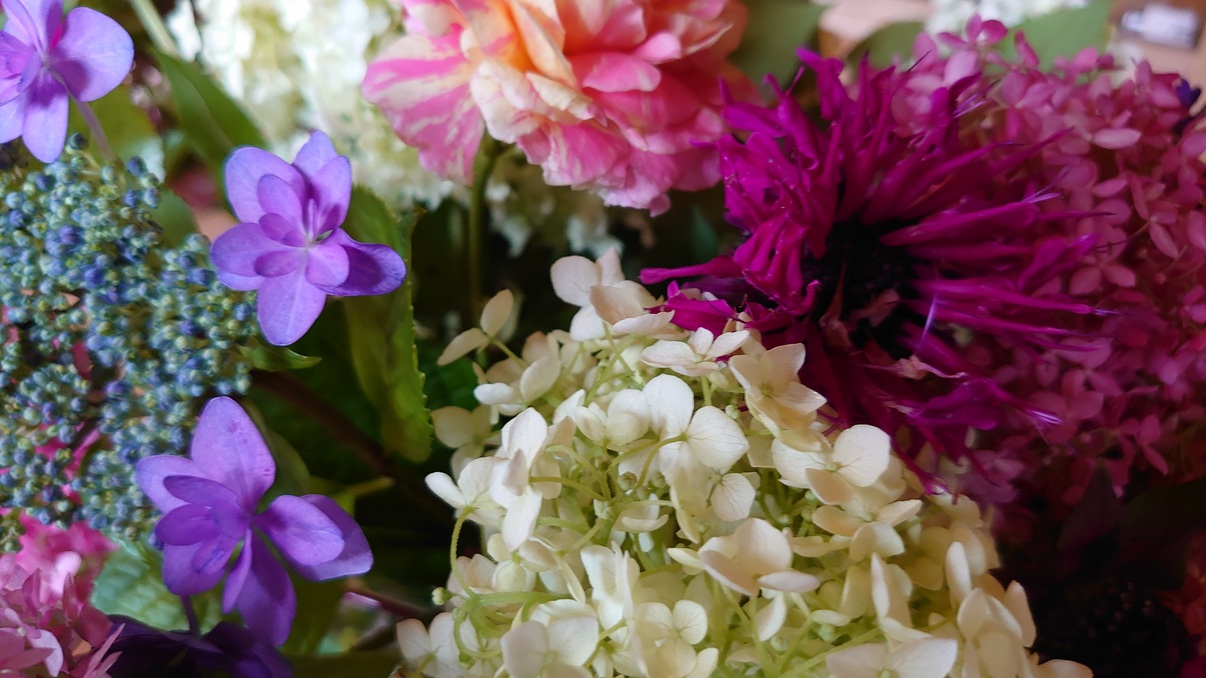 暑くなりました