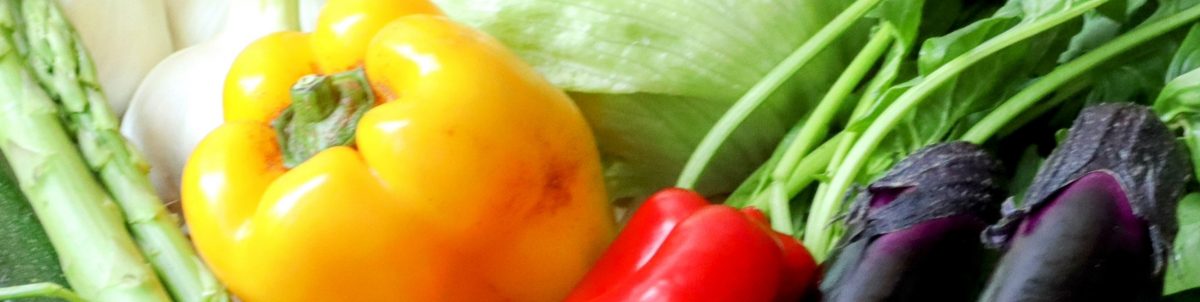 野菜を食べているかわかるセンサー