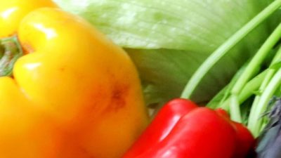 野菜を食べているかわかるセンサー